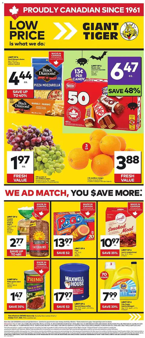 Giant Tiger Weekly Flyer - Page 1