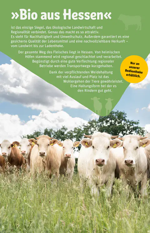 Rewe Center Prospekt Angebote - Seite 1