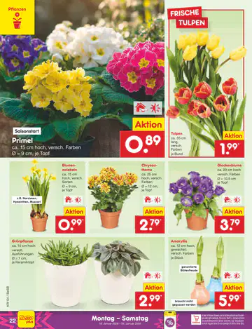 Netto Marken Discount Prospekt ab 19.01.2026 - Seite 5