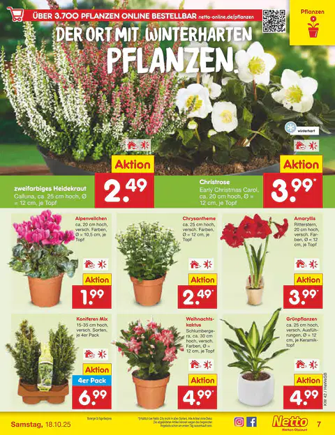 Netto Marken-Discount Prospekt - Seite 6