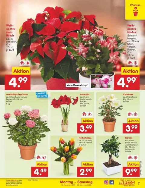 Netto Marken-Discount Prospekt Angebote - Seite 6