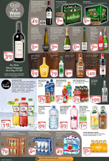 Globus Prospekt ab 19.01.2026 - Seite 3