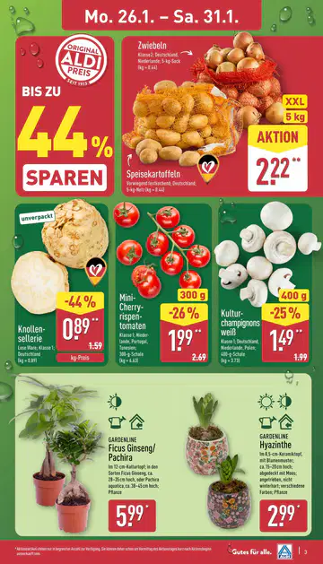 Aldi Nord Prospekt ab 26.01.2026 - Seite 2