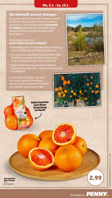 Penny Prospekt Angebote - Seite 4