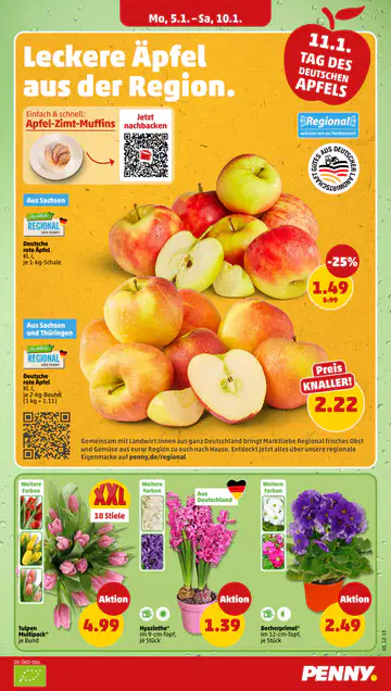 Penny Prospekt Angebote - Seite 2