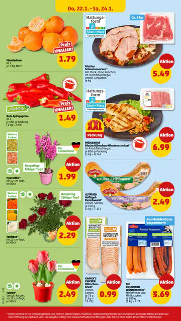 Penny Prospekt ab 19.01.2026 - Seite 1