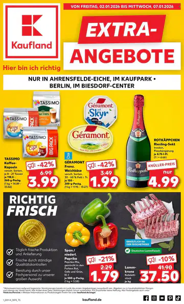 Kaufland Extra Angebote ab 02.01.2026 - Seite 1