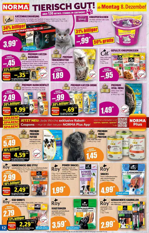 Norma Prospekt - Seite 1