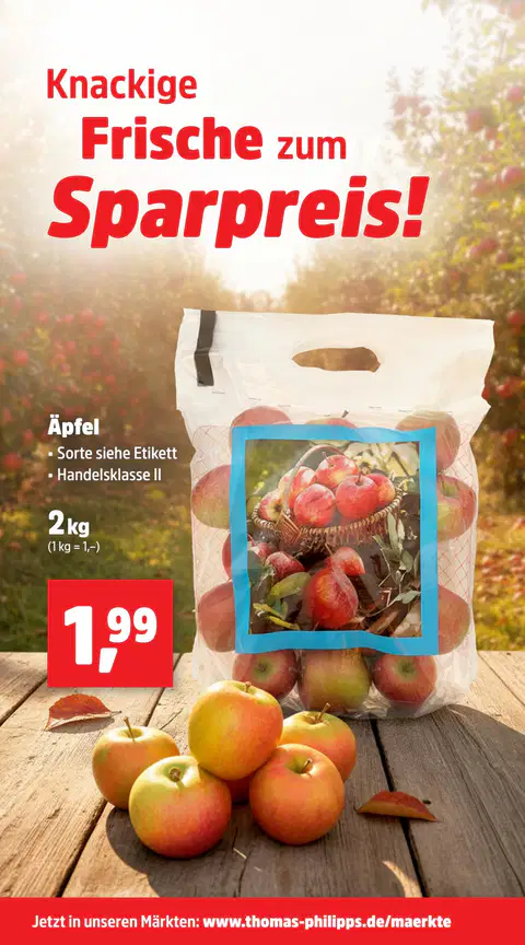 Thomas Philipps Prospekt - Seite 3