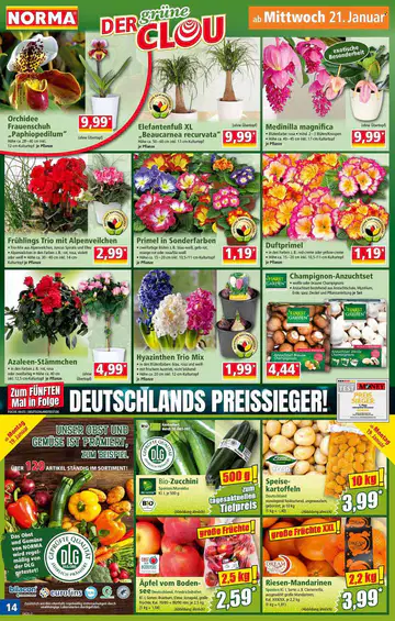 Norma Prospekt Angebote - Seite 1