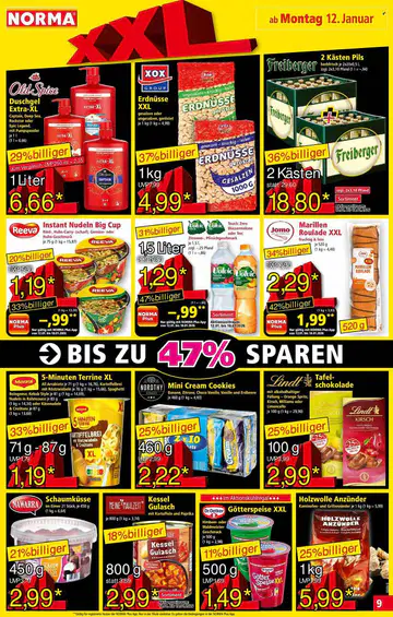 Norma Prospekt - Seite 2