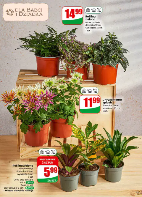 Gazetka Dino od 21.01.2026 — Aktualne promocje - Strona 2