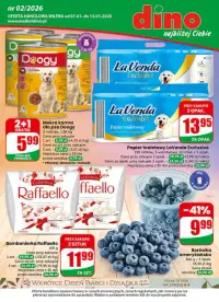 Podgląd gazetki Dino w tym tygodniu (07.01.2026–13.01.2026)