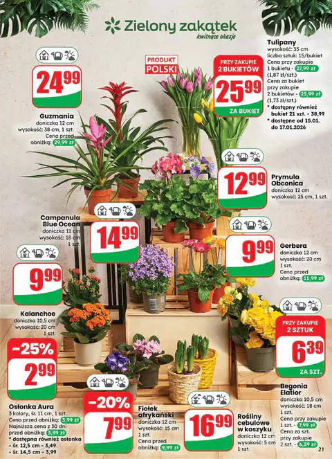 Gazetka Dino od 14.01.2026 - Strona 2