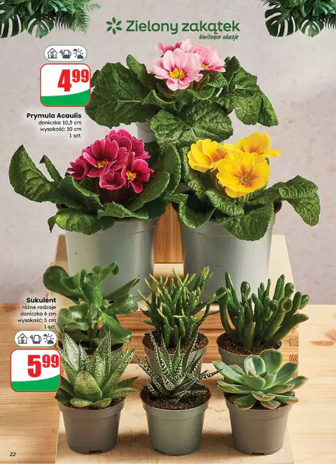 Gazetka Dino od 14.01.2026 - Strona 3