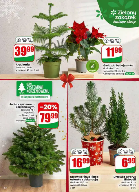 Gazetka Dino - Strona 3