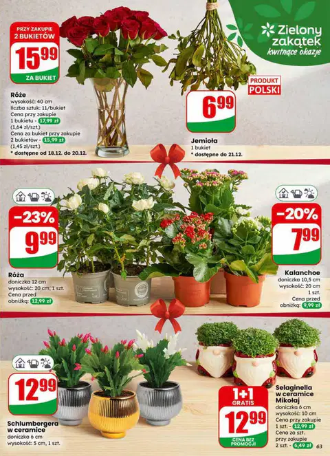 Gazetka Dino - Strona 2