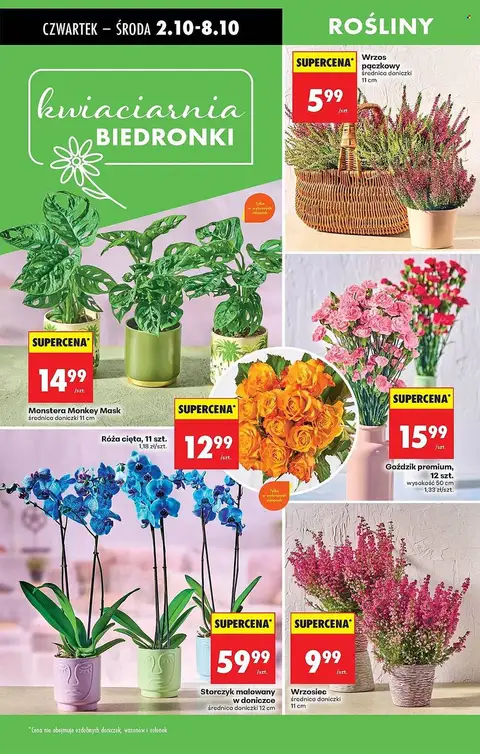 Biedronka Ulotka - Strona 2