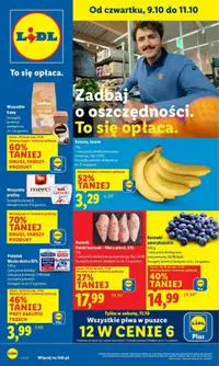 Oferty Lidl