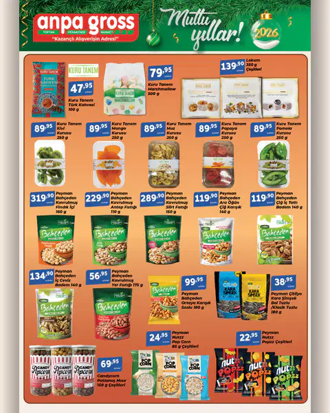Anpa Gross Aktüel Ürünler 20.12.2025 - Sayfa 1