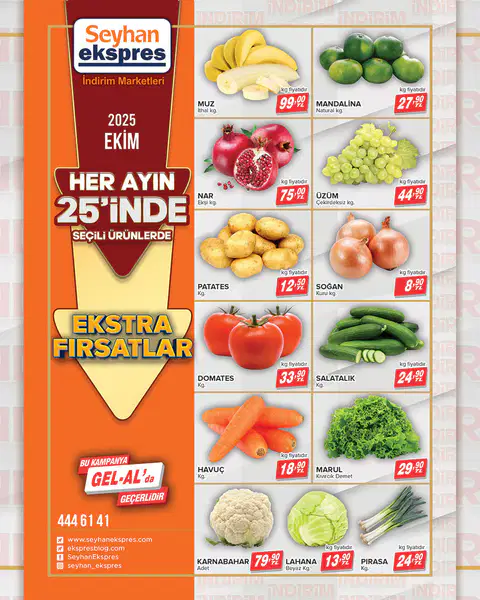 Seyhan Ekspres 25 Ekim 2025 Kataloğu - Sayfa 2